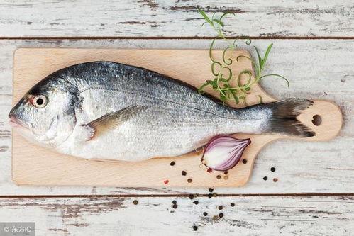 吃巨大八瓜鱼视频,挑战极限！揭秘巨大八瓜鱼美食之旅