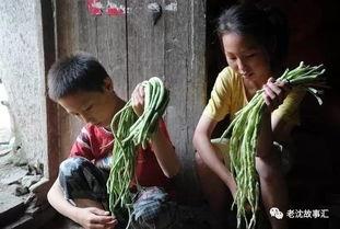 越南姐弟吃瓜视频大全免费观看,揭秘网络热传的趣味瞬间