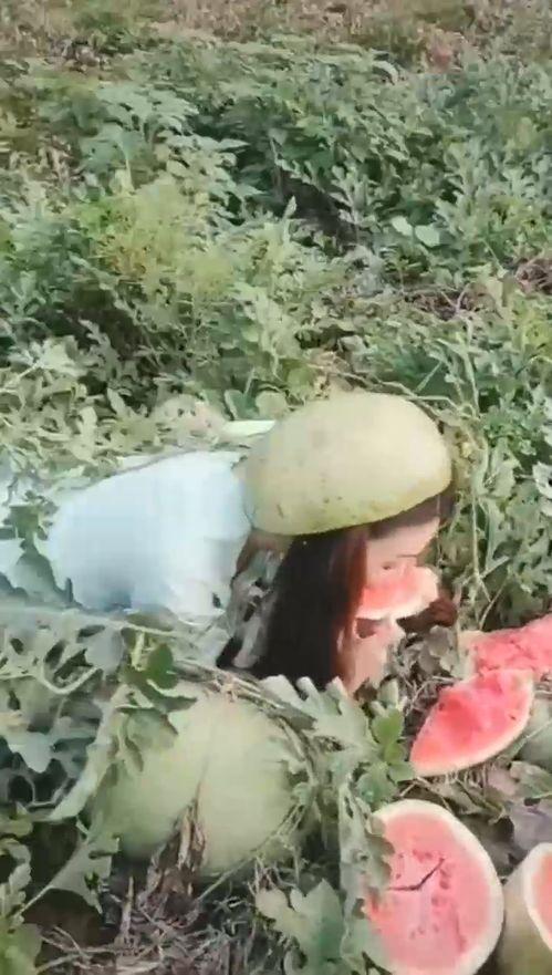 最漂亮小姐姐吃瓜视频,最漂亮小姐姐的吃瓜瞬间，惊艳众人