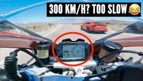 兰博吃瓜视频在线观看,带你领略网络热点的趣味瞬间