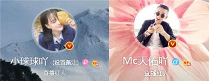 播放球球吃瓜视频