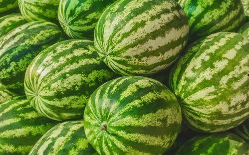 云木吃瓜视频入口在哪找,视频入口一网打尽