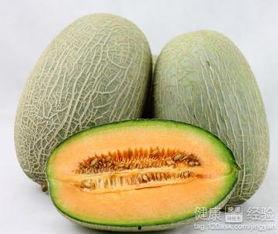 幼鸟可以吃哈密瓜吗视频,哈密瓜的适宜性揭秘